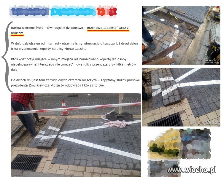 "Bareja wiecznie żywy"