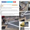 "Bareja wiecznie żywy"