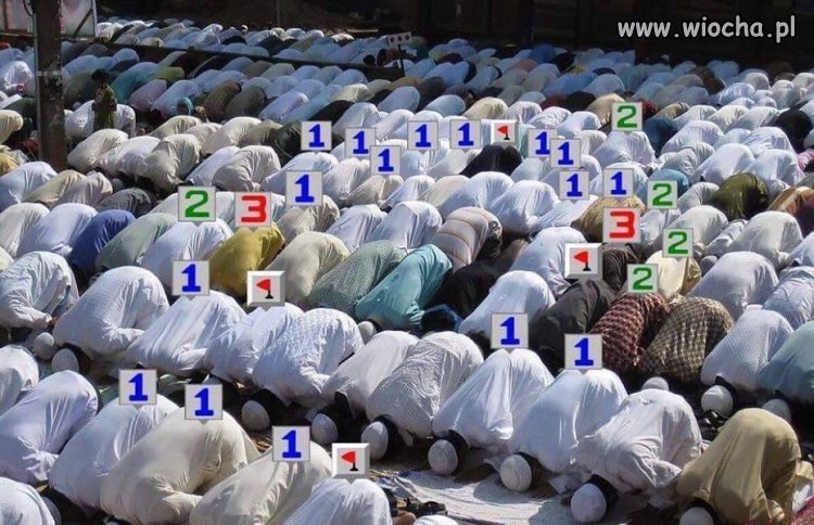 Saper