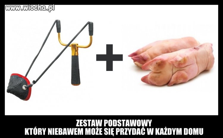 Zestaw podstawowy