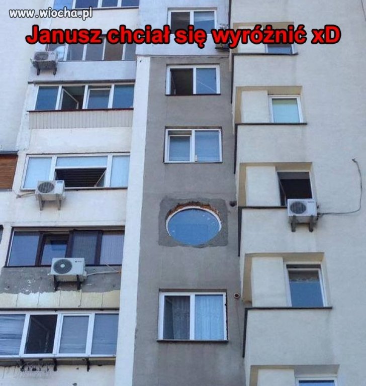Wolność Tomku