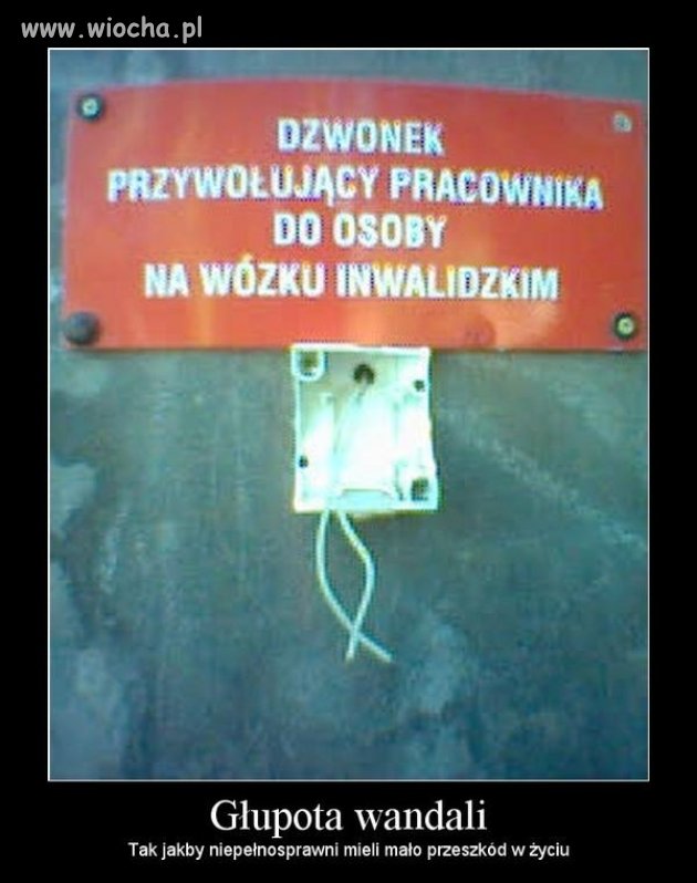 Głupota ludzka nie zna granic.