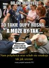 "szczaw i mirabelki" dla wszystkich 