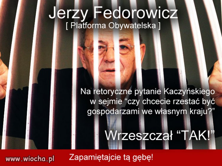 Patriotyzm Fedorowicza