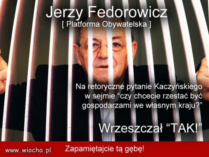 Patriotyzm Fedorowicza