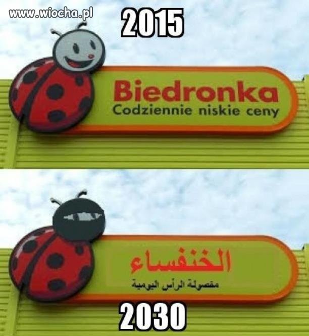 Biedronka
