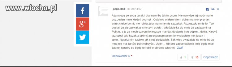 Kolejny miłośnik psów