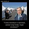 Wujek dobra rada