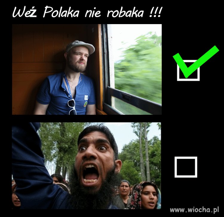 Wybierzmy Polaka i Polskę - przyjmijmy naszych