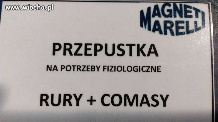 Przepustka