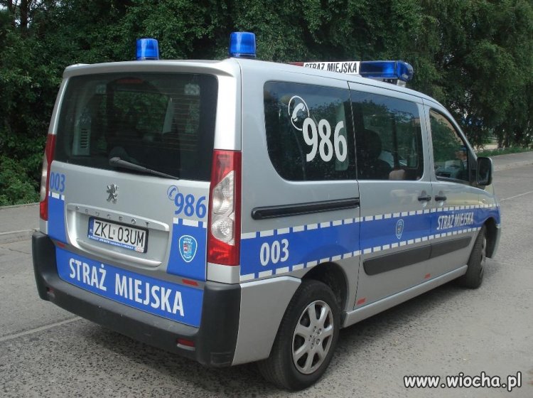 Najbardziej beznadziejna i niepotrzebna instytucja