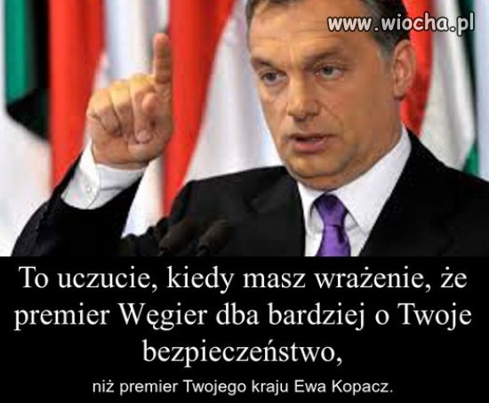 Bo Kopacz ma nas wszystkich w d**e