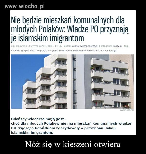 To jest niewiarygodne.