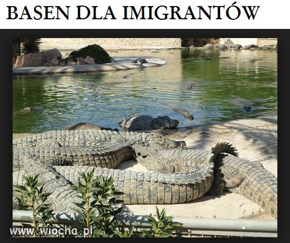 Basen pełen niespodzianek.
