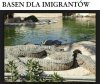 Basen pełen niespodzianek.