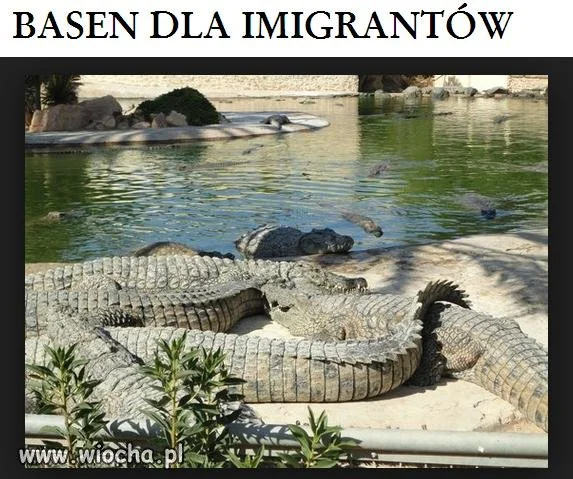 Basen pełen niespodzianek.