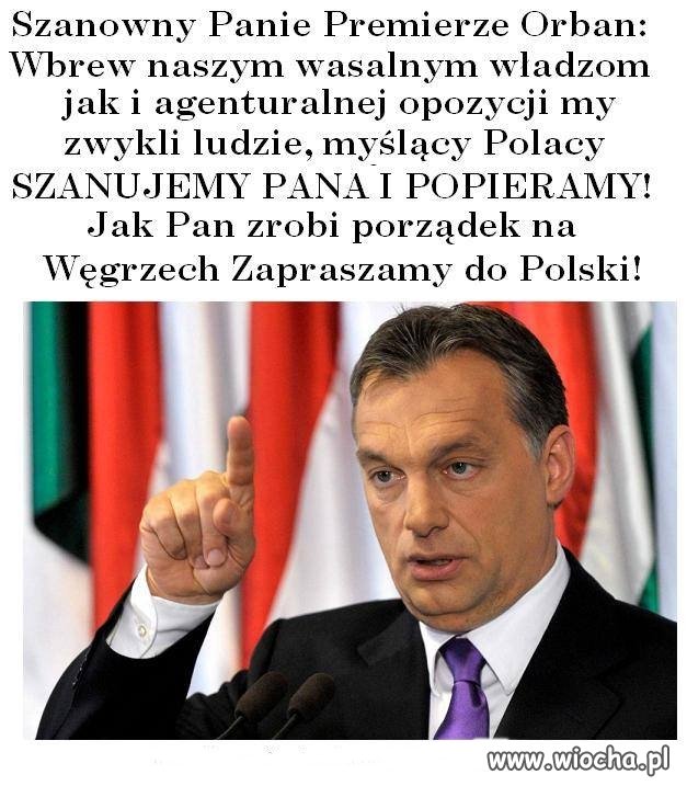 Kopacz rządzi, Szydło być może będzie rządzić...Przydał