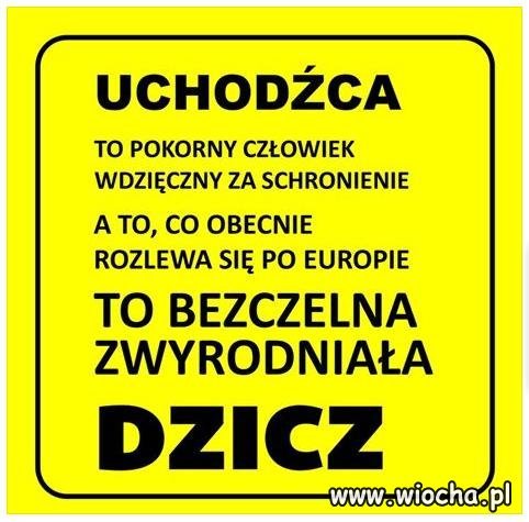  Znaczenie słowa UCHODŹCA