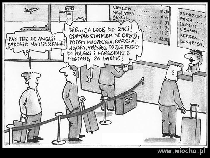 Taki polski absurd...