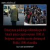 No szlag mnie kur$$ jasny pieronisty trafi