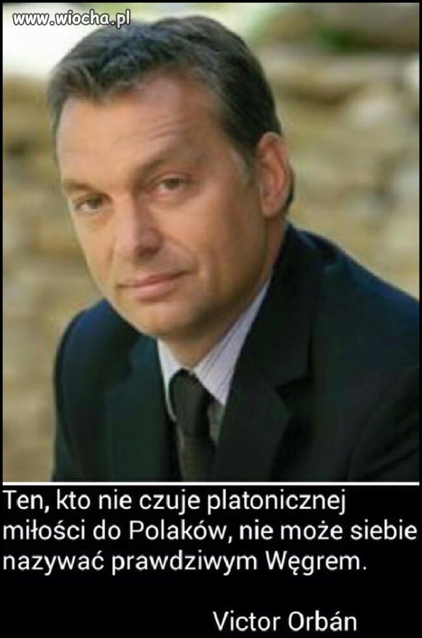 Polak Węgier dwa bratanki