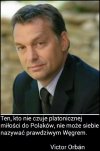 Polak Węgier dwa bratanki