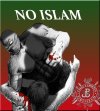NIE DLA ~ISLAMU~