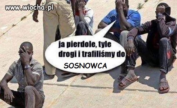 NAWET IMIGRANCI NARZEKAJĄ NA SOSNOWIEC 