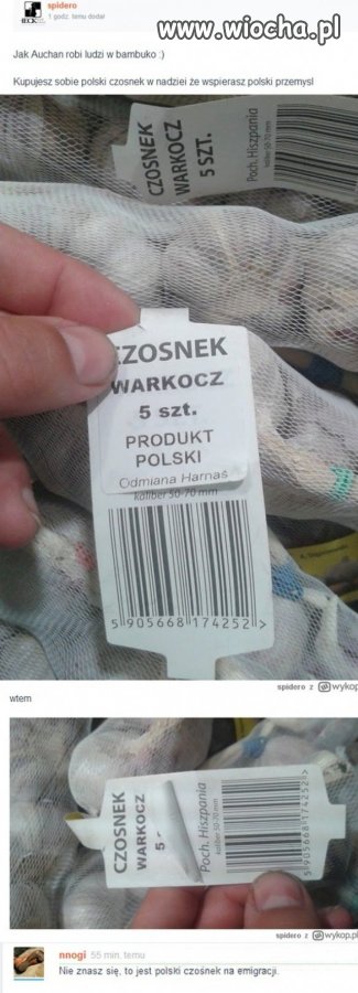 Polski czosnek