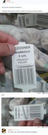 Polski czosnek