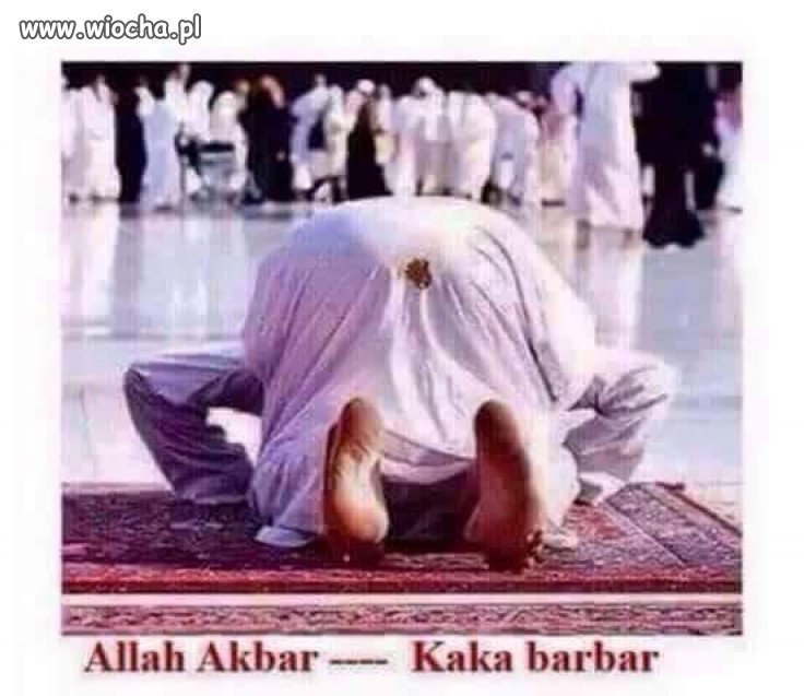 Allah wychodzi mu tyłkiem 