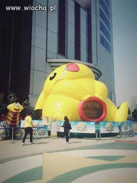 Pipkaczu