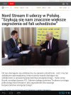 Dwulicowa polityka Niemiec