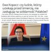 Brukselska marionetka!