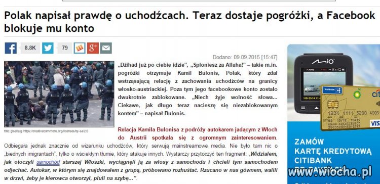 STOP islamowi i przykrywce PO