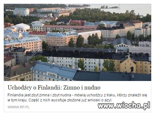 Zwykła szarańcza