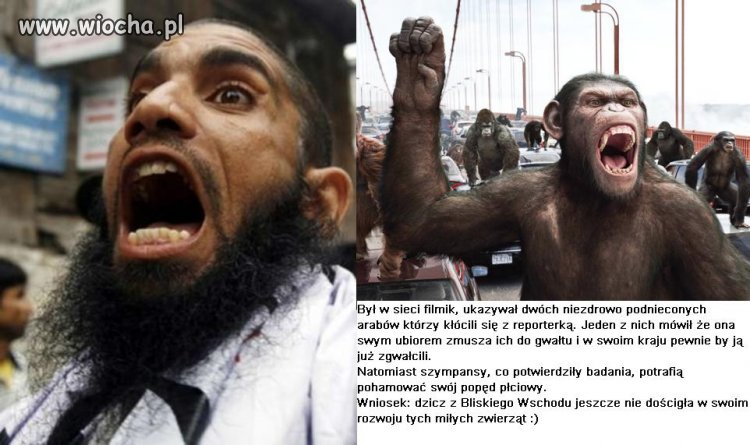 Ciapaty vs. małpa