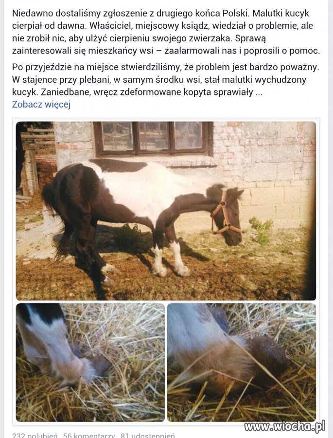 Ksiądz sadysta