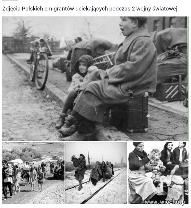 Niech szwaby trzymają mordę na kłódkę