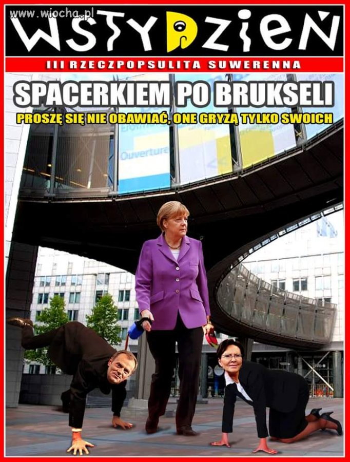 Niestety 