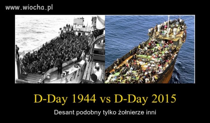 Coś w tym jest