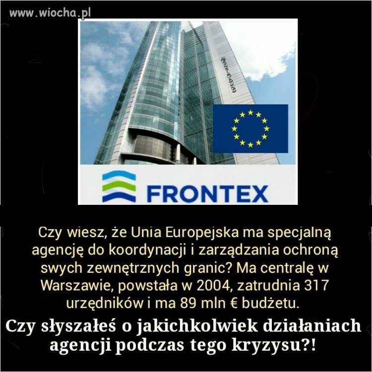Pewnie, że nie widziałem...