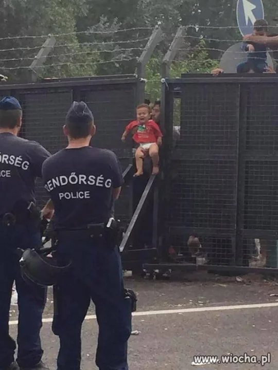 Imigranci Syryjscy ukazali swoje prawdziwe oblicze