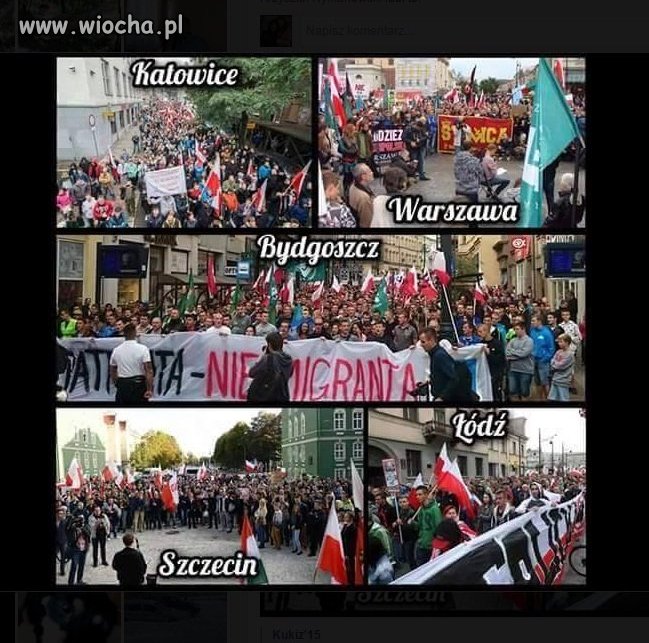 KOPACZ!! I rządowe sługusy medialne WIDZICIE TO?