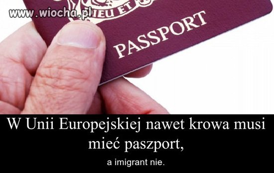 Imigrant nic nie musi 