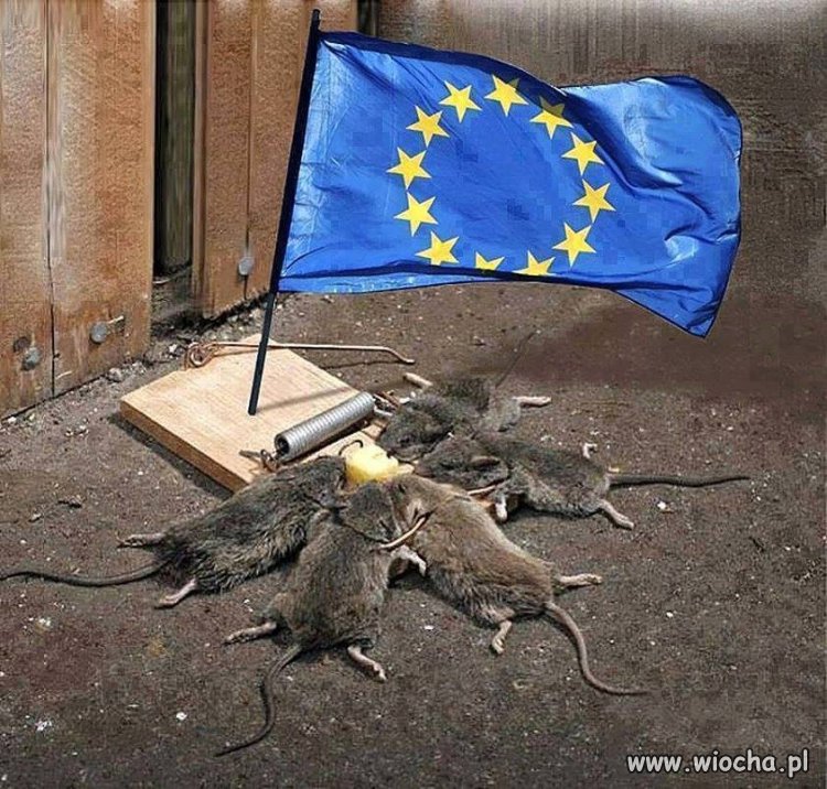 Tak widzę UE ...