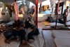 Element galerii