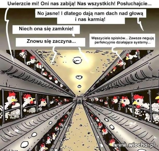 Wzorcowa definicja leminga