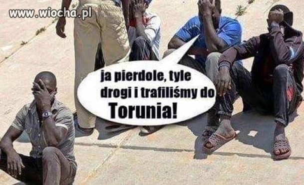 Mieli ...