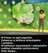 I żeby później nie było, że nikt nie uprzedzał! 